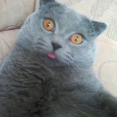 All Yours (Cleindl Remix)3