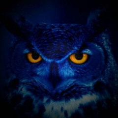 Thanh Niên Chuẩn 10