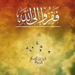 Farouk Elsayed