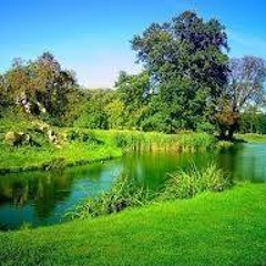 Asmaa Belal