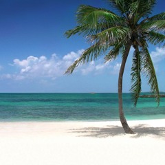 The Silver Hair Tsunami Show