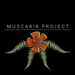 MUSCARIA PROJECT