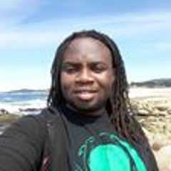 Uzoma Albert Okwuadigbo