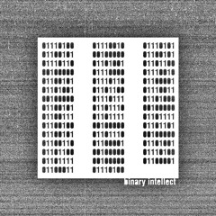 Binary Intellect