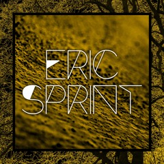 Eric Sprint