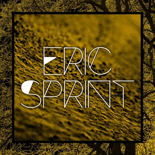 Eric Sprint’s avatar