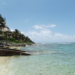 Veronica Martin Valle