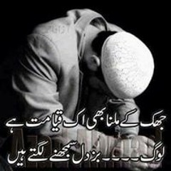 fawad afridi