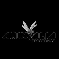 ANIMALIA Recordings