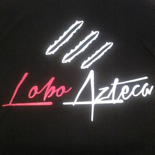 Publicidades Lobo Azteca’s avatar