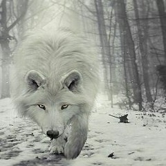 juan eduardo zuluaga