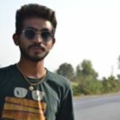 Mitesh Boricha
