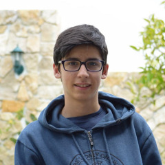 João Pedro Lopes Alves