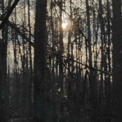 What Want?(held happy)[prod. drip133]