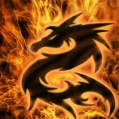 speedhed4