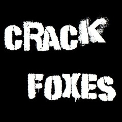 Crack Foxes