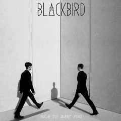 BLACKBIRD
