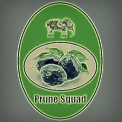 Prune Squad