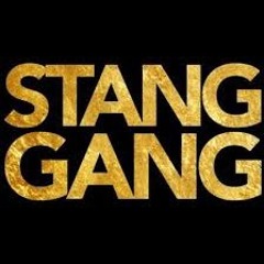 East Side Burnsville Stang Gang