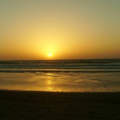 Willemijn scoop van Maurik