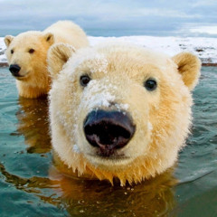 Валерий Проскуркин