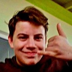 Davi Fernandes de Stefani