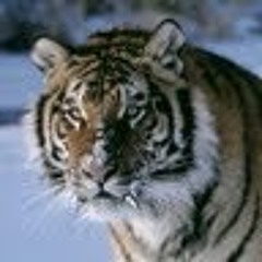 Pedro cuenca parreño