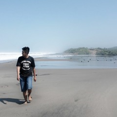 Alan Walker & DJ Mangoo (Dhikha Mashup) - The Faded Eurodancer