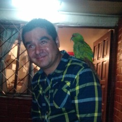 Gonzalo Eduardo Bastias