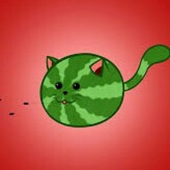 cat watermelon