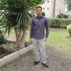 amir abdelnasser