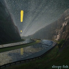 Sleepy Fish
