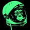 macacoespacial