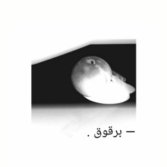 _ نصف سيدة .