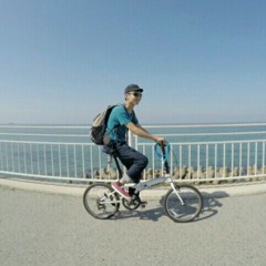 ryota n