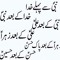 Rashid Hussain