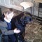 Harry Holt