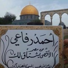 أحمد رفاعي