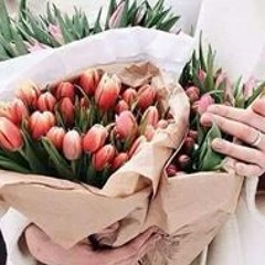 زهرة اللوتس