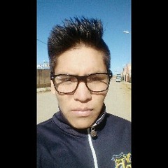 Fernando Luis Flores Paco