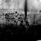 flaxxxed-