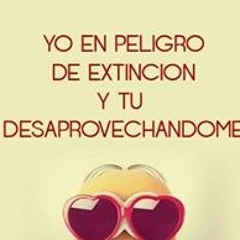 Ködy Âlêjändrö Sämânö