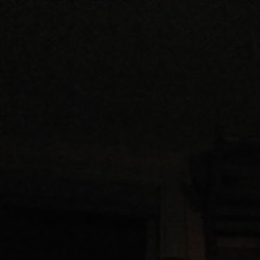 Дима Патошик