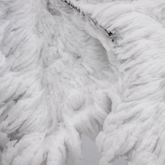 Crystal Vision Terminus