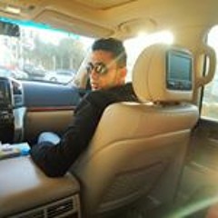 Hassan Bin Shahzad