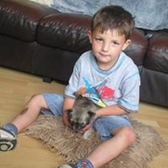 Andrew Schofield Donnelly