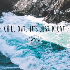 The Chilloutcat