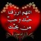 Bogy Elmasry