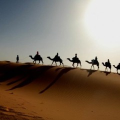 Na'am Qaatil