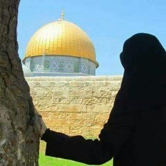 ✿نَـدى مقْدِسـي✿